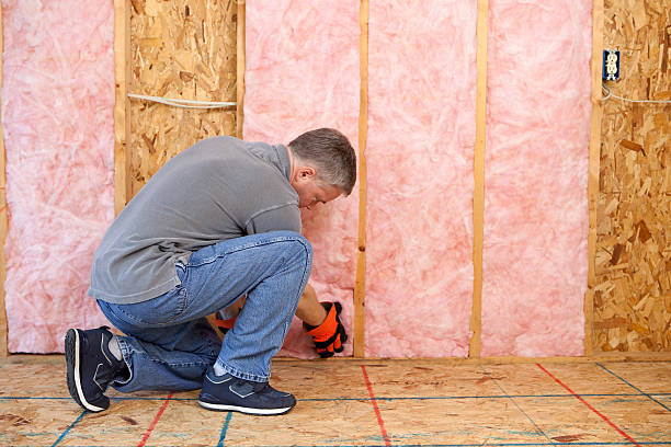 Best Eco-Friendly Insulation in Decatur, MI